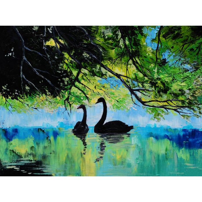 Swans on the lake abstract drawing - ID # 248058664