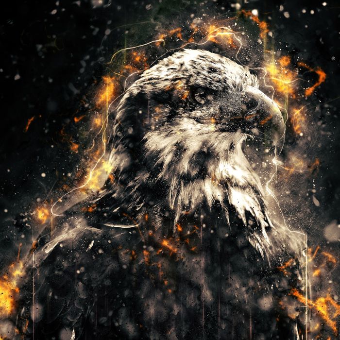 American Bald Eagle illustration with fire - ID # 248117473