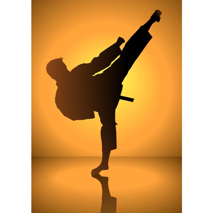 Silhouette Of A Karateka Doing Standing Side K - ID # 26584781