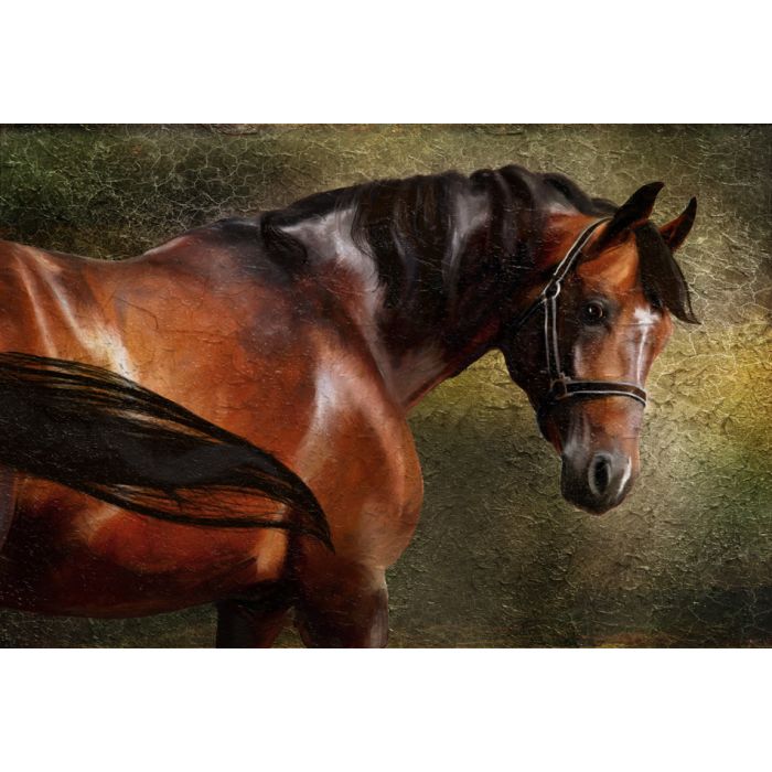 The Thoroughbred classical portrait Simulation  - ID # 88254646