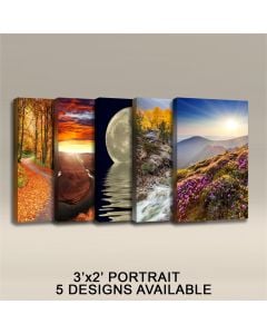 READY MADE 3'X2'X2" ACOUSTIC ART PANELS - PORTRAITS, IN 5 STYLES