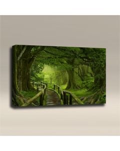 AcousticART Curated Nature Collection #N3L1 Wooden bridge over the rainforest - Size: 36" W x 24" H x 2" - Landscape