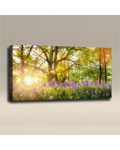 AcousticART Curated Nature Collection #N4L5 bluebell forest with sunrise bursting - Size: 48" W x 24" H x 2" - Landscape