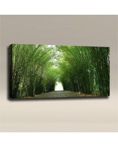 AcousticART Curated Nature Collection #N4L6 Bamboo Tunnel - Size: 48" W x 24" H x 2" - Landscape