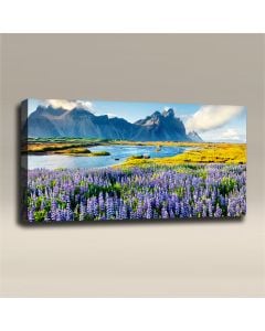 AcousticART Curated Nature Collection #N4L2 lupines on Stokksnes headland - Size: 48" W x 24" H x 2" - Landscape