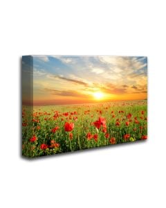 Ready Made 3'x2'x2 Acoustic Art Panels - 6 Nature Themed Styles to choose from