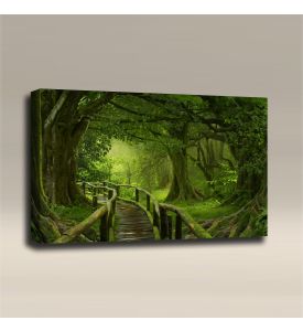 AcousticART Curated Nature Collection #N3L1 Wooden bridge over the rainforest - Size: 36" W x 24" H x 2" - Landscape