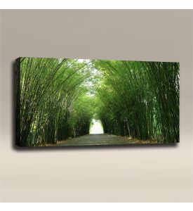 AcousticART Curated Nature Collection #N4L6 Bamboo Tunnel - Size: 48" W x 24" H x 2" - Landscape