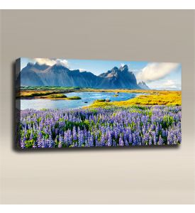 AcousticART Curated Nature Collection #N4L2 lupines on Stokksnes headland - Size: 48" W x 24" H x 2" - Landscape