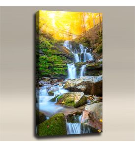 AcousticART Curated Nature Collection #N4P4 Autumn Falls - Size: 48" L x 24" W x 2" - Portrait