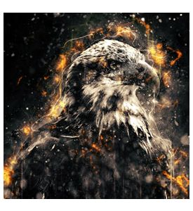 American Bald Eagle illustration with fire - ID # 248117473