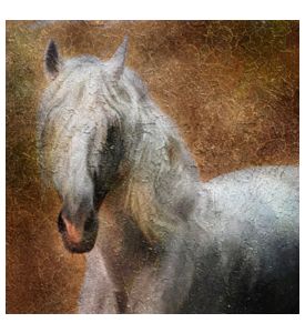 Andalusian horse portrait Simulation of old painting style - ID # 87265441