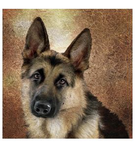 German shepherd portrait Simulation of old painting style - ID # 87265447