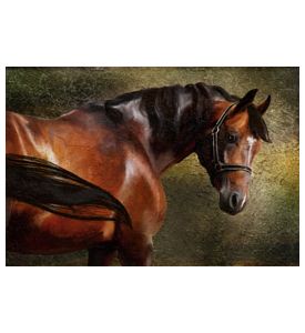 The Thoroughbred classical portrait Simulation  - ID # 88254646