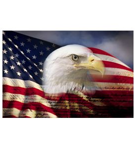 Digital composite: American bald eagle and flag - ID # 97488059