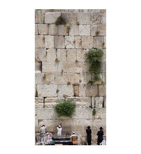 The Jerusalem Wailing Wall - ID # 1132118