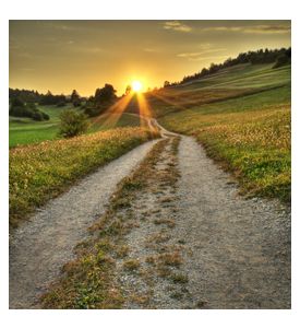 Idyllic Sunset On Dusty Road In Countryside - ID # 17006749