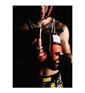 Boxer Fighter - ID # 17215429