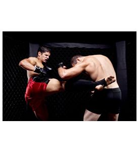 Mixed Martial Artists Fighting - Kicking - ID # 26381113