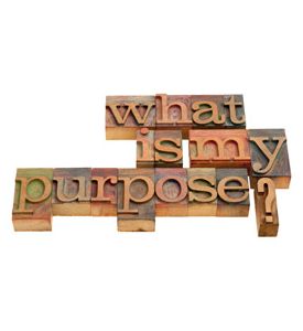 What Is My Purpose - ID # 26997638