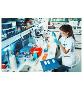 Young Scientist Works In Modern Biological Lab - ID # 55314607