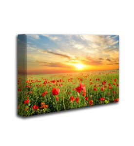 Ready Made 3'x2'x2 Acoustic Art Panels - 6 Nature Themed Styles to choose from