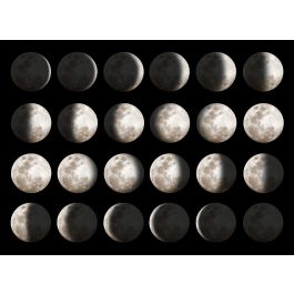 Moon Phases - ID # 29045442