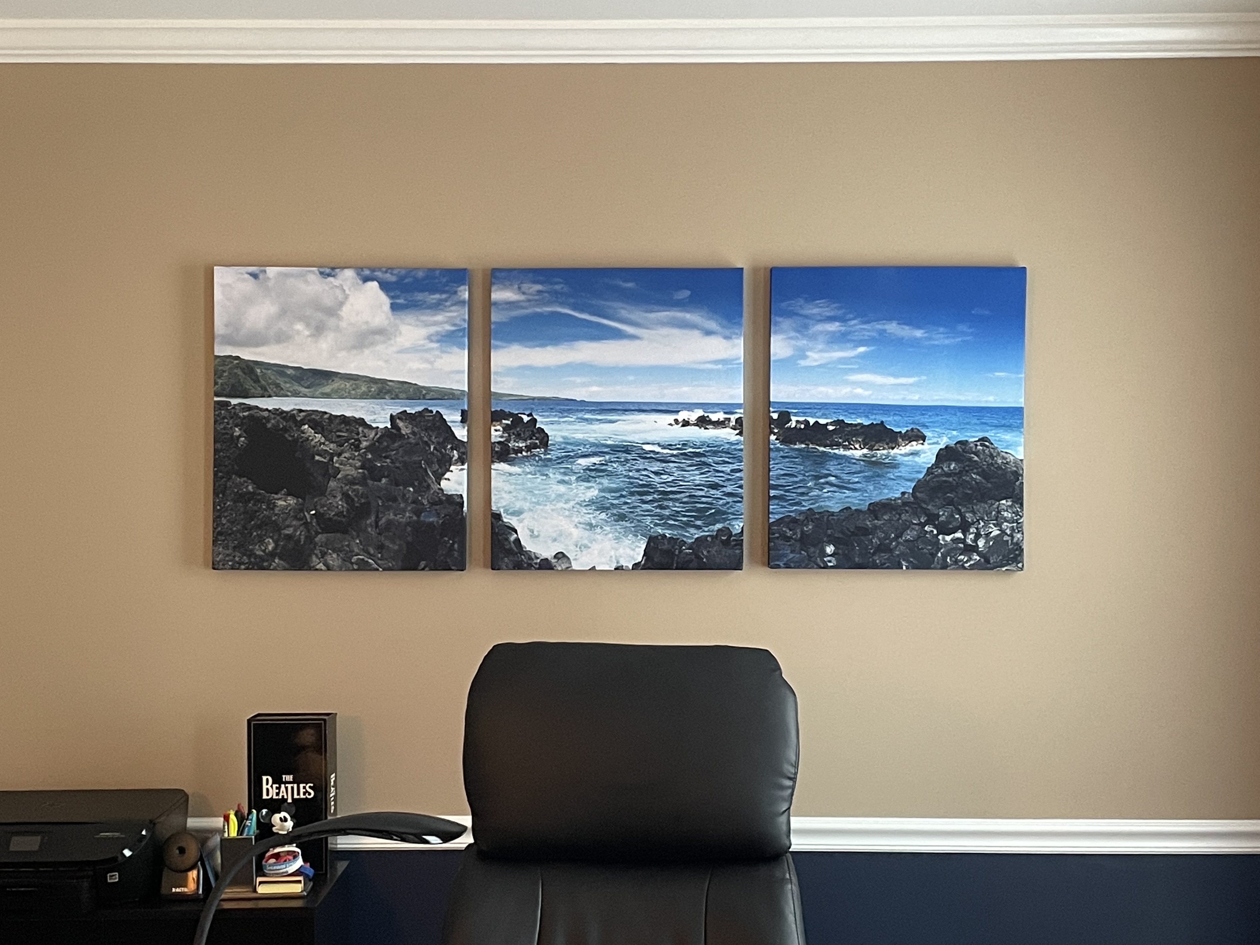 Customer Photos - Nick Brown - AcousticART Triptych