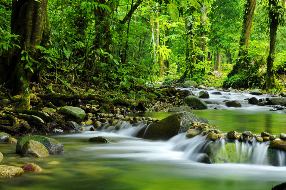 Nature Escape